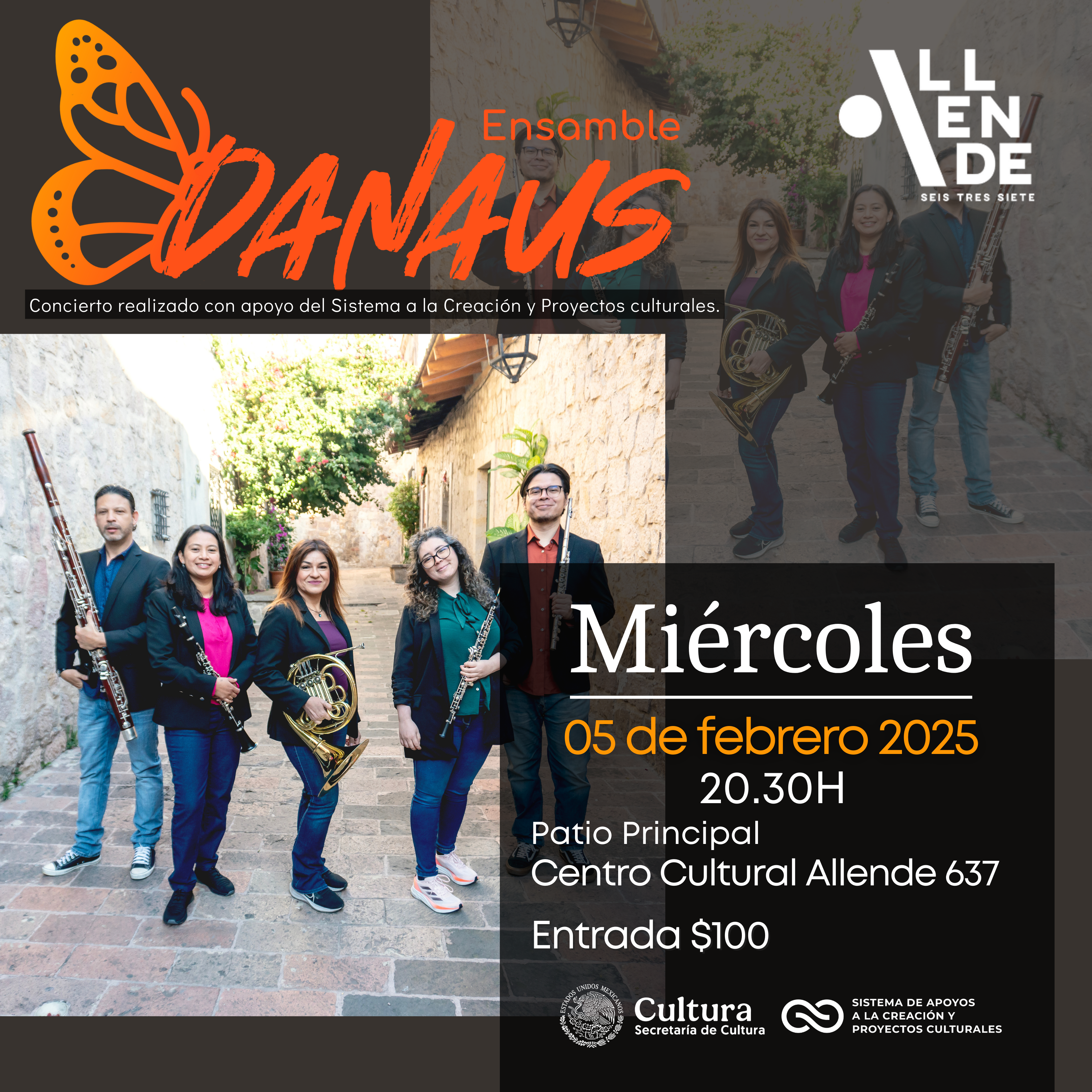 Concierto Ensamble Danaus